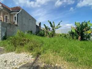 tanah pinang merah termurah cocok buat rumah kos elite dkt bunga andong bunga merak semanggi timur 100 meter ke raya suhat lokasi di Dinoyo, tersedia melalui melalui situs Olx