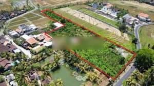 tanah view sawah di jalan raya kaba kaba akses jalan 8 meter lokasi di Kerambitan, tersedia melalui melalui situs Olx