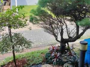 Turun Harga Rumah 2 Lantai siap huni di The Mozia BSD City , tersedia melalui melalui situs Olx