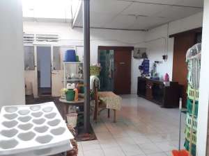 836. Rumah Kapas Krampung, Tambaksari Surabaya Timur , tersedia melalui melalui situs Olx