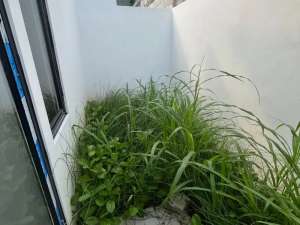 Cari Rumah Dekat Pabrik Panjibuwono City Solusinya , tersedia melalui melalui situs Olx