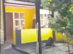 Cibubur Country , Cikeas, murah, harga di bawah pasaran , tersedia melalui melalui situs Olx