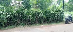 dijual lahan pinggir jalan 2000 meter cocok untuk rumah lokasi di Darangdan, tersedia melalui melalui situs Olx