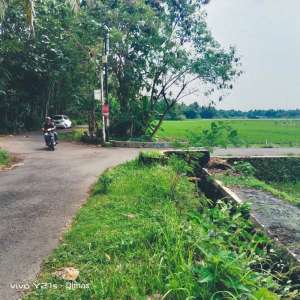 dijual sawah produktif di bantul trimurti srandakan bantul lokasi di Srandakan, tersedia melalui melalui situs Olx