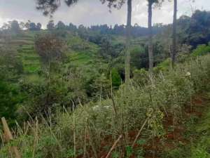 dijual tanah dago giri bandung lokasi di Cidadap, tersedia melalui melalui situs Olx