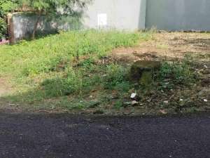 dijual tanah kosong komplek elite dki timbul jagakarsa luas 9x14 masuk mobil truk jalan pruis lokasi di Cinere, tersedia melalui melalui situs Olx