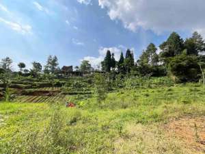 dijual tanah murah area villa di megamendung puncak lokasi di Megamendung, tersedia melalui melalui situs Olx