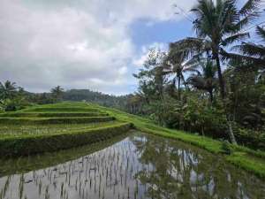 dijual tanah murah view cantik di tabanan bali lokasi di Salemadeg Timur, tersedia melalui melalui situs Olx