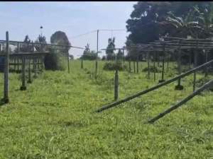 for sale tanah darah pancawati kec caringin lokasi di Caringin, tersedia melalui melalui situs Olx