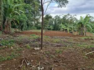 for sale tanah dekat summarecon bogor lokasi di Sukaraja, tersedia melalui melalui situs Olx