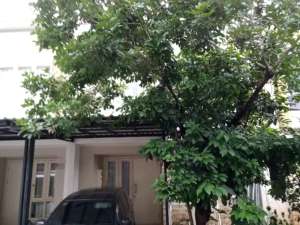 Jual Rumah Cluster Thomson Gading Serpong , tersedia melalui melalui situs Olx