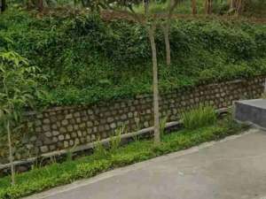 jual tanah cigugur lokasi di Cigugur, tersedia melalui melalui situs Olx