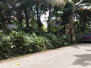 jual tanah di tanah baru bogor dekat tol lokasi di Bogor Utara - Kota, tersedia melalui melalui situs Olx