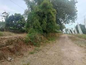 jual tanah harga murah lokasi di Citayam, tersedia melalui melalui situs Olx