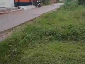 jual tanah kosong strategis lokasi di Gunung Sindur, tersedia melalui melalui situs Olx