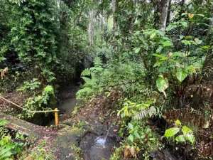 jual tanah penatahan penebel ada sumber mata air lokasi di Marga, tersedia melalui melalui situs Olx