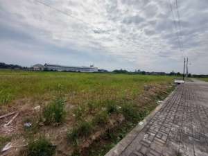 kavlingan tanah di daerah gedangan solo baru lokasi bagus harga murah lokasi di Grogol, tersedia melalui melalui situs Olx