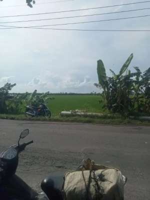 lahan industri murah mojowarno jombang lokasi di Mojowarno, tersedia melalui melalui situs Olx