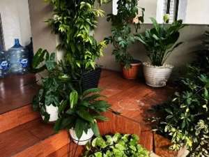 Rumah 2 lantai di Regency Melati Mas Tangerang , tersedia melalui melalui situs Olx