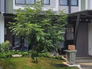 Rumah di cluster Baroni gading serpong , tersedia melalui melalui situs Olx