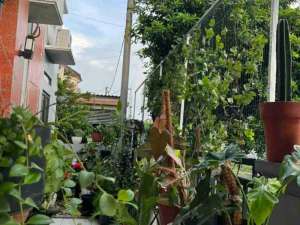 rumah siap huni di kemang pratama 3 bekasi , tersedia melalui melalui situs Olx