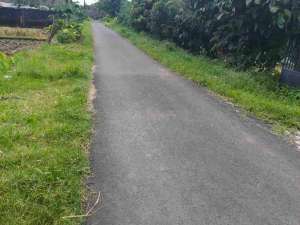 sawah minggir lokasi di Minggir, tersedia melalui melalui situs Olx