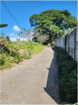 tanah 5 are dkt pantai sanur lokasi di Denpasar Selatan, tersedia melalui melalui situs Olx