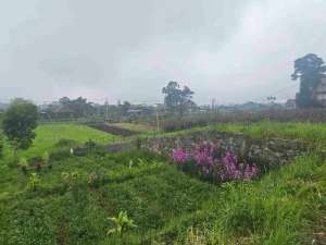 tanah jalan utama metro batu pinggir jalan bagus buat villa besar atau cluster view istimewa lahan kuning lokasi di Batu, tersedia melalui melalui situs Olx