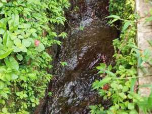 tanah kebun manggis lokasi di Sagalaherang, tersedia melalui melalui situs Olx