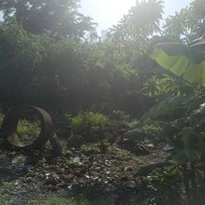 tanah kontrak termurah di seminyak kuta lokasi di Seminyak, tersedia melalui melalui situs Olx