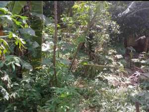 tanah kosong 700 meter lokasi di Tangerang, tersedia melalui melalui situs Olx