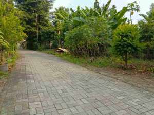 tanah lempongsari sleman yogyakarta lokasi di Gondokusuman, tersedia melalui melalui situs Olx