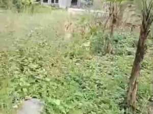 tanah murah bojong koneng lokasi di Babakan Madang, tersedia melalui melalui situs Olx