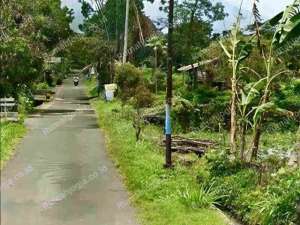 tanah nyaman dan strategis jalan aspal bimomartani lokasi di Ngemplak, tersedia melalui melalui situs Olx