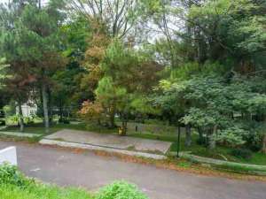 tanah shm harga termurah di dago resort pakar bandung lokasi di Cimeunyan, tersedia melalui melalui situs Olx