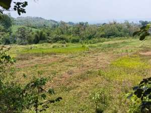 tanah siap bangun di jedong kawasan porumahan lokasi di Wagir, tersedia melalui melalui situs Olx