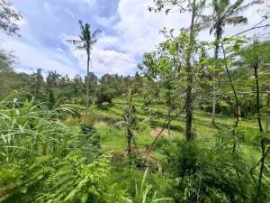 tanah view sawah dan gunung akses jalan aspal didaerah wisata angsri lokasi di Baturiti, tersedia melalui melalui situs Olx