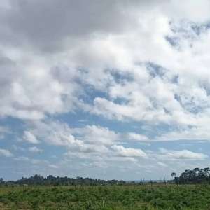 tanah view sawah dan laut di sudimare tabanan lokasi di Kediri, tersedia melalui melalui situs Olx