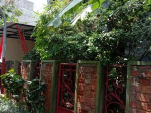 067- RMH ANTIK DI NILEM DGN MATERIALKAYU JATI BKN BETAH DI RMH. lokasi di Bandung Kota, tersedia melalui melalui situs Olx