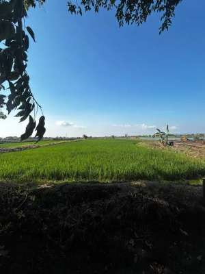 0822 - Dijual Tanah dekat Tol Cerme SHM 5500 m2 lokasi di Gresik Kab., tersedia melalui melalui situs Olx