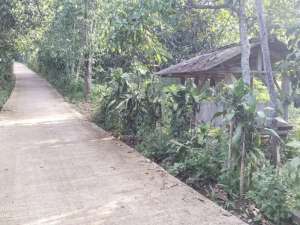 1 KM KE JL. UTAMA 3 KM KE GERBANG TOLDURIAN, MANGGIS, PALA DLL lokasi di Purwakarta Kab., tersedia melalui melalui situs Olx