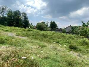 100 Jtan Free BPHTBAJB Area Purwomartani SHM Pekarangan lokasi di Sleman Kab., tersedia melalui melalui situs Olx