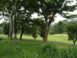 1768. Dijual Tanah kavling cluster Senja Sentosa Lestari Taman Dayu Pasuruan lokasi di Pasuruan Kota, tersedia melalui melalui situs Olx