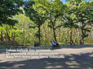 2 jutam nego. Termurah lahan nol jl. raya gajah mada mojokerto lokasi di Mojokerto Kab., tersedia melalui melalui situs Olx