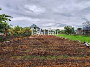 2.000m2 Excellent Land in Popular Area in Buleleng, Bali lokasi di Buleleng Kab., tersedia melalui melalui situs Olx