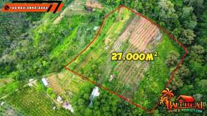 27,000 m2 Dijual Murah dekat Obyek Wisata Kebun Raya Bedugul lokasi di Tabanan Kab., tersedia melalui melalui situs Olx