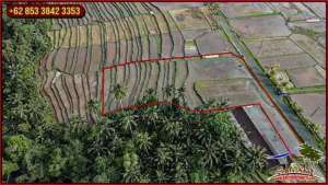 30 Are Pinggir Jalan Aspal Semi L area Penebel Tabanan lokasi di Tabanan Kab., tersedia melalui melalui situs Olx