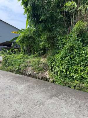 35mnit to Canggu BUC 300m2 lokasi di Tabanan Kab., tersedia melalui melalui situs Olx