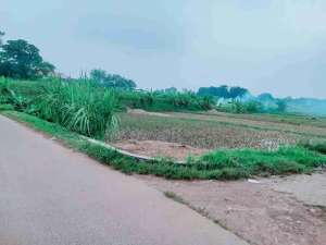 ANDA DEVELOPER DAN BUTUH TANAH UNTUK PROJECT PERUMAHAN ANDA INI PILIHAN YANG TEPAT...LUAS TANAH 3 HA, TANAH PADAT,DEKET KE PERUMAHAN CITRA MAJA DAN PODOMORO,HARGA CUMA 15 M lokasi di Tangerang Kab., tersedia melalui melalui situs Olx