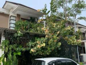 ASRI BANGETFull Renov Luas 144 Rumah Cluster Asera Harapan Indah Bekasi lokasi di Bekasi Kota, tersedia melalui melalui situs Olx